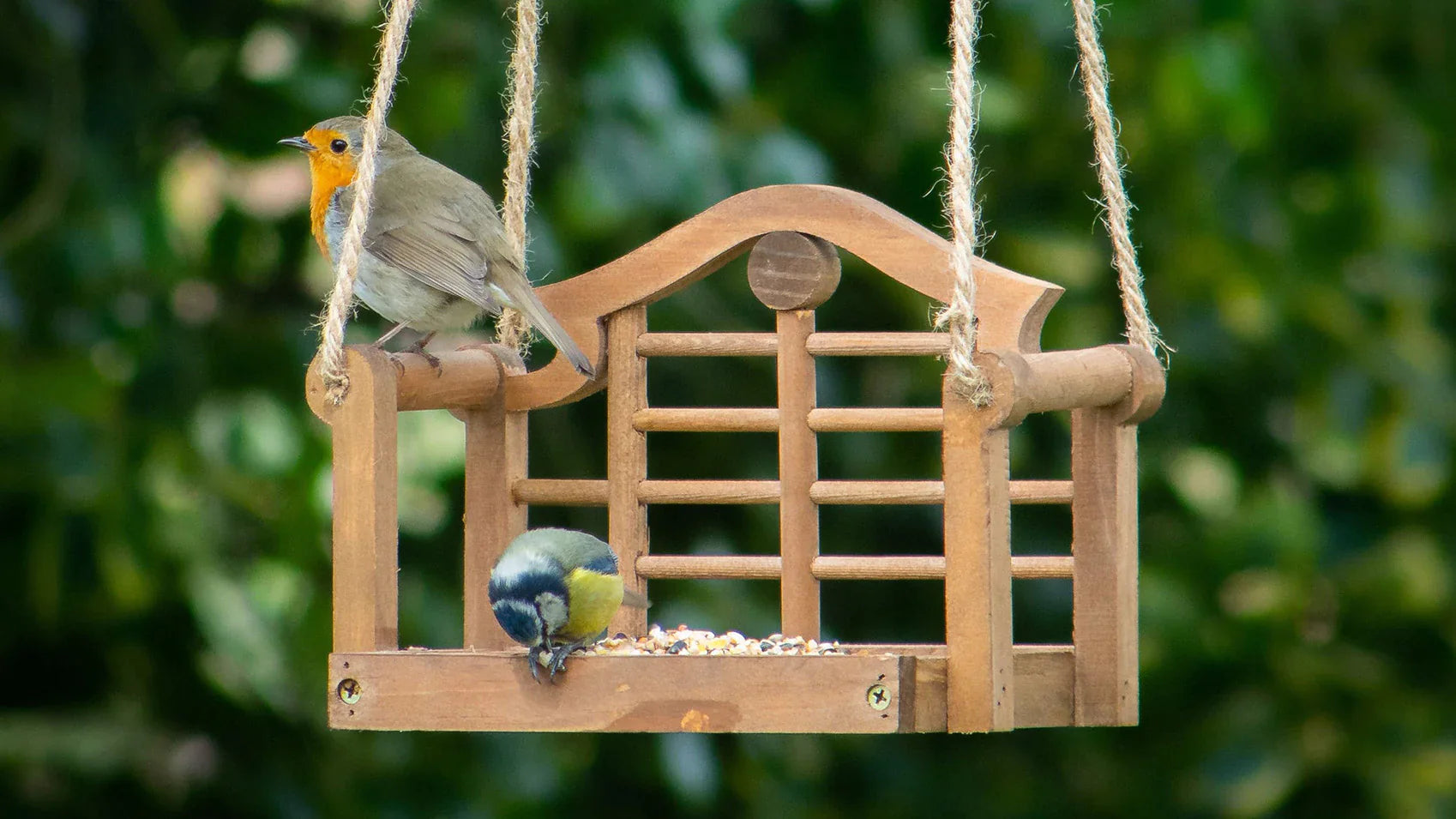 Bird feeder top supplies near me