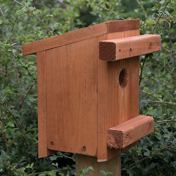 Riverside Woodcraft Dormouse Nest Box