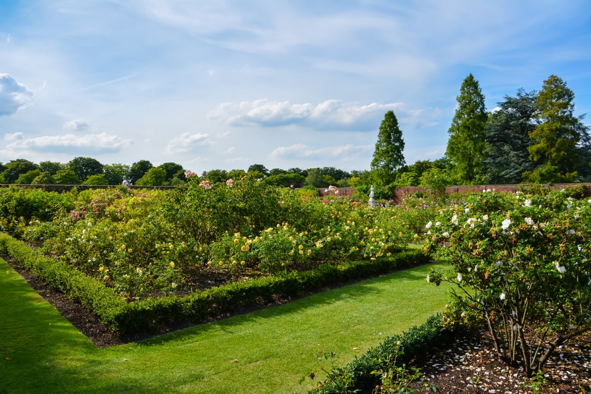 Building the Perfect Bird Sanctuary: Essentials for Your Garden