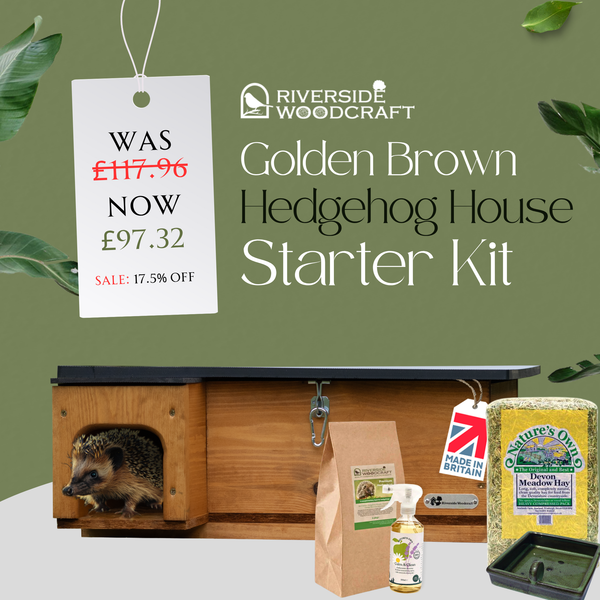 Hedgehog House Golden Brown Starter / Gift Kit