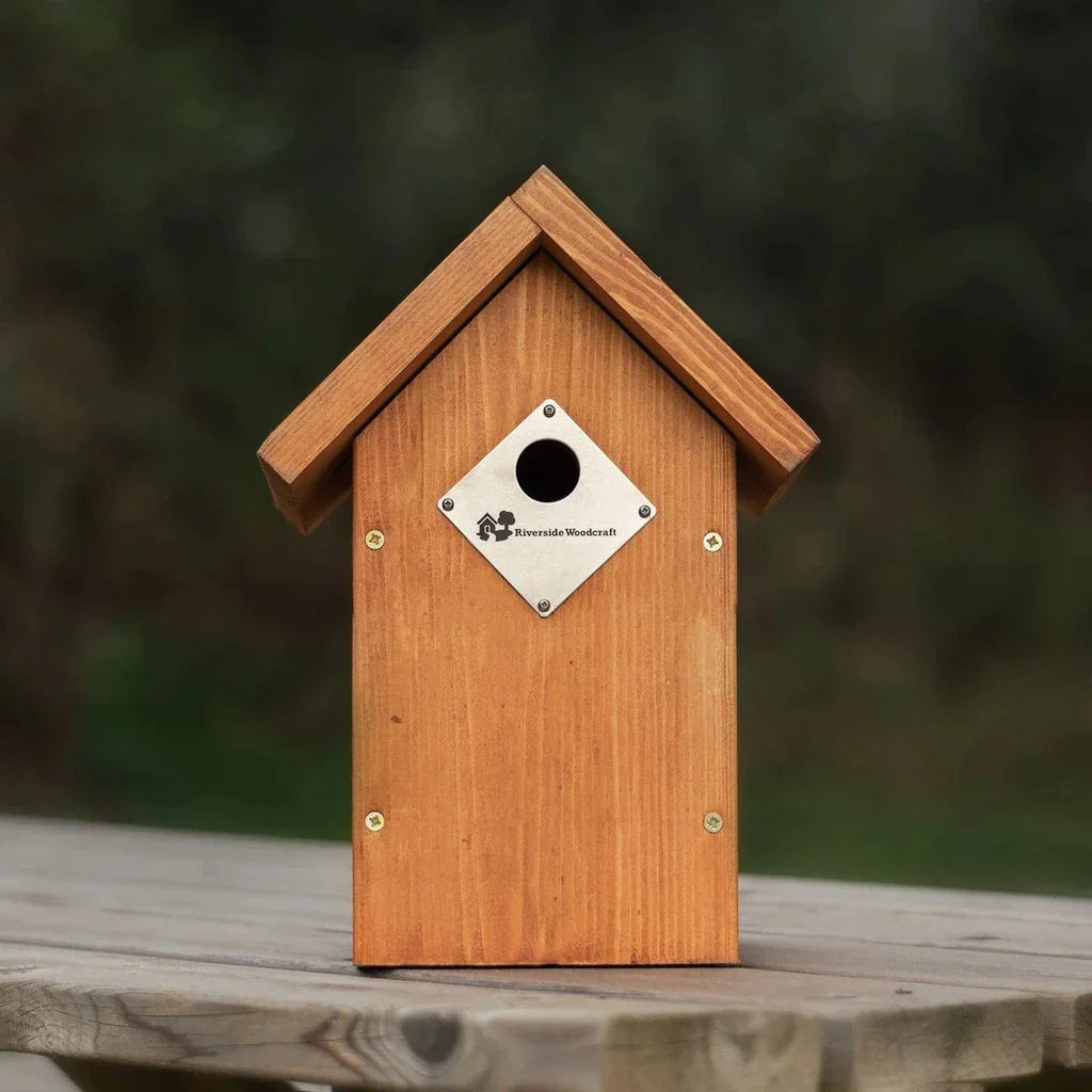 Discover Nest Box Cameras: Your Window to Nature's Wonders