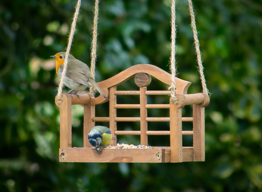 Wildlife World Lutyens Swingseat Bird Feeder