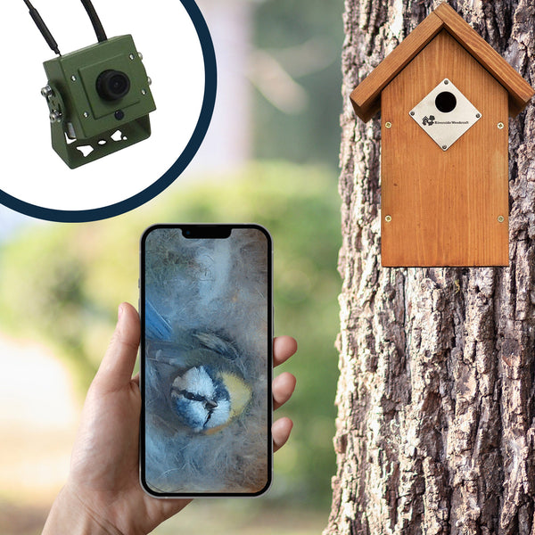 WiFi Bird Box Camera Bundle