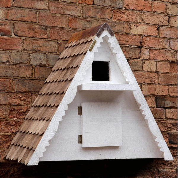 Barn Owl Nest Box with Camera